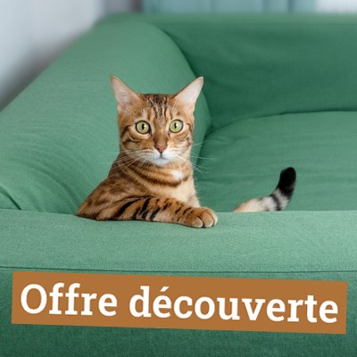 Offre découverte